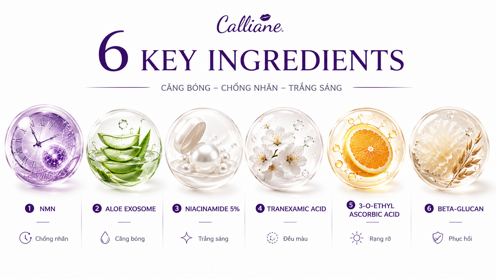 6 hoạt chất vàng của Calliané Exo-NMN Black Mask